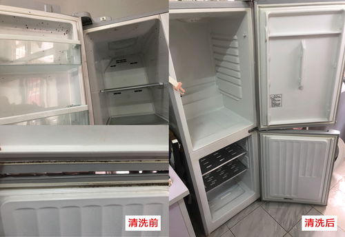 家電清洗與專業安裝 守護家庭健康與安全的雙重保障