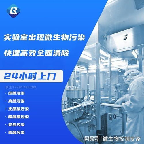 實用細胞培養入門指南與北上廣專業實驗室消毒服務